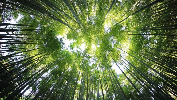 如何调查一个人的身世和历史?探索现实中的查人技巧